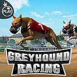 Greyhound Racing