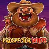 Prospector Wilds