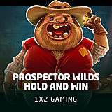 Prospector Wilds Hold and Win
